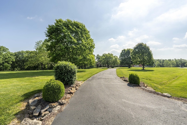 1865 N Hearthstone Ln, Strafford, MO 65757 - view of asphalt driveway