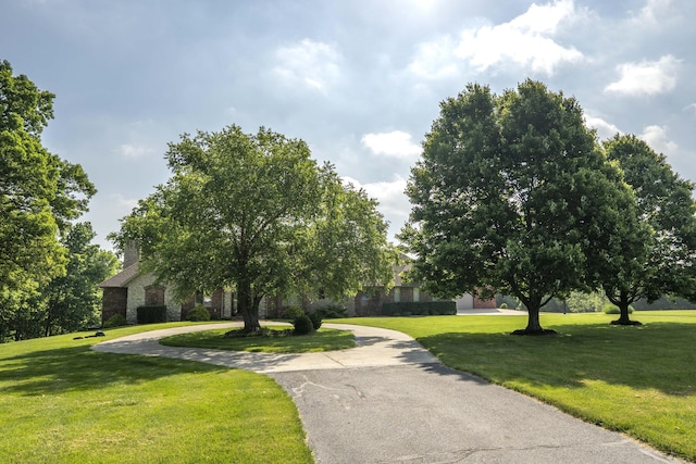 1865 N Hearthstone Ln, Strafford, MO 65757 - view of community with a yard and curved driveway