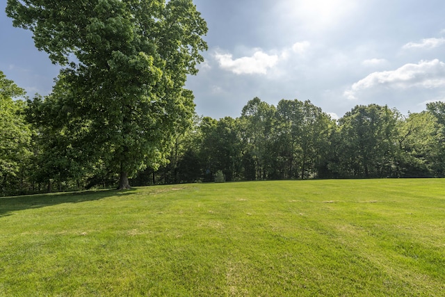 1865 N Hearthstone Ln, Strafford, MO 65757 - view of grassy yard