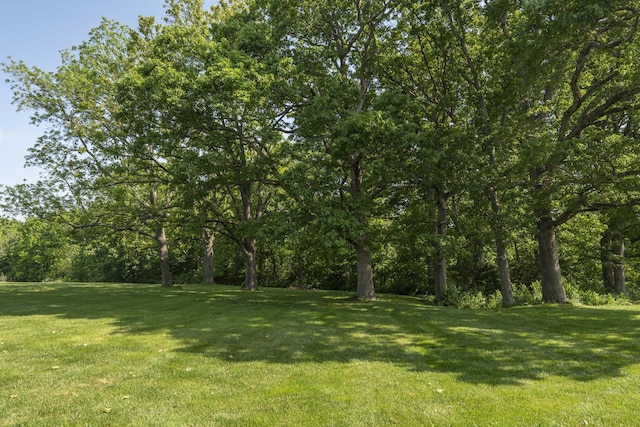1865 N Hearthstone Ln, Strafford, MO 65757 - view of green lawn