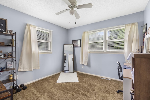 668 W Springfield St, Aurora, MO 65605 - office area featuring carpet, ceiling fan, baseboards, and a textured ceiling