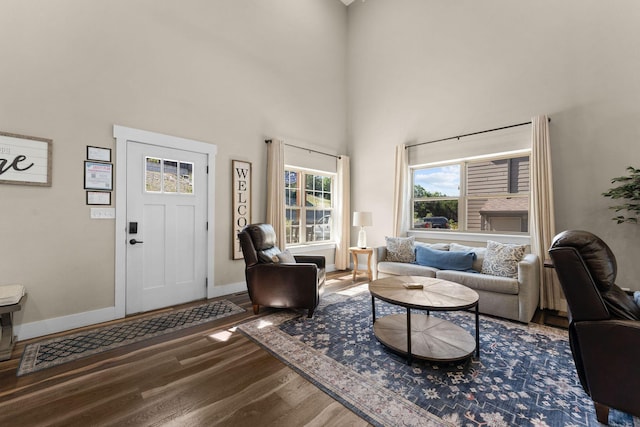440 Lake Front Dr, Branson, MO 65616 - living area featuring wood finished floors, baseboards, and a towering ceiling