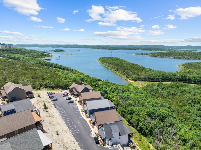 440 Lake Front Dr, Branson, MO 65616 - bird's eye view of a heavily wooded area and a large body of water