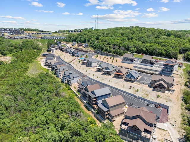 440 Lake Front Dr, Branson, MO 65616 - drone / aerial view