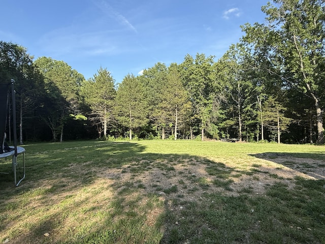 290 Mccord Bend Rd, Galena, MO 65656 - photo 44