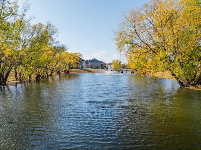7015 Calabash St, Nixa, MO 65714 - water view