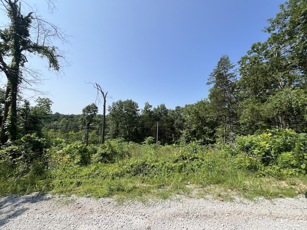 LOT10 Button Wood, Theodosia, MO 65761