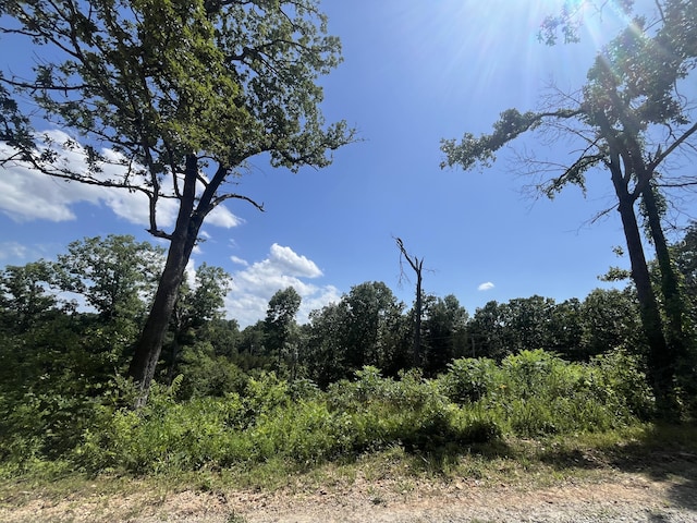 Lot9 Button Wood, Theodosia, MO 65761