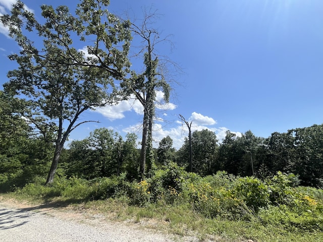 Lot9 Button Wood, Theodosia, MO 65761