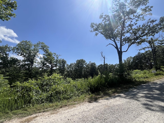 Lot9 Button Wood, Theodosia, MO 65761