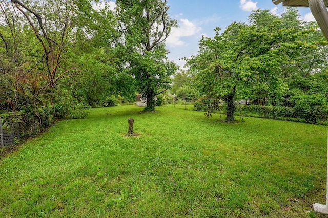 300 S Clifton Ave, Springfield, MO 65806 - photo 2