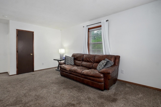 300 S Clifton Ave, Springfield, MO 65806 - photo 3