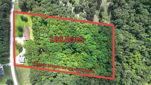 4287 Olga Rd, Fordland, MO 65652 - aerial overview of property's location featuring a forest and property parcel outlined