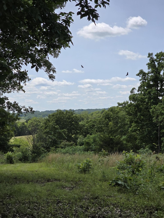 5 Cowboy Trl, Buffalo, MO 65622