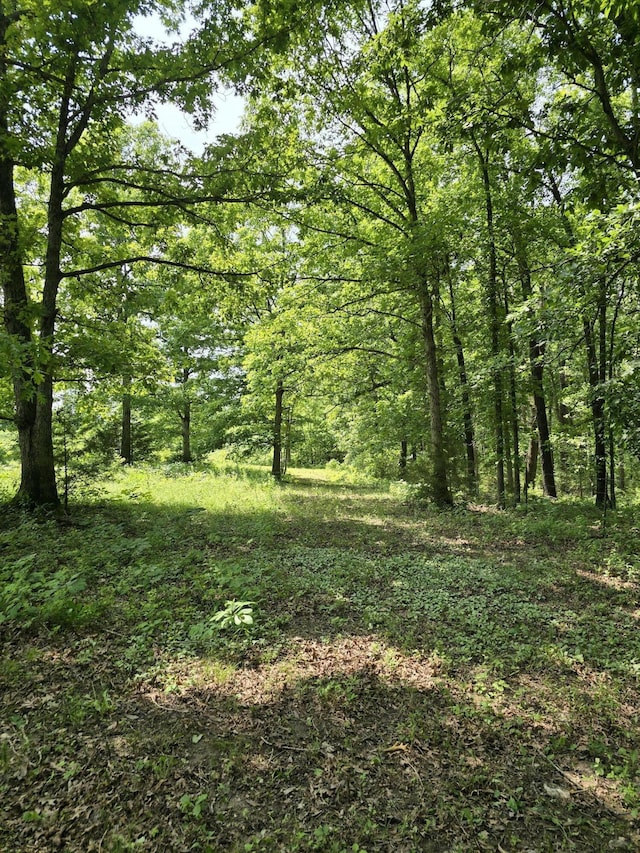 5 Cowboy Trl, Buffalo, MO 65622