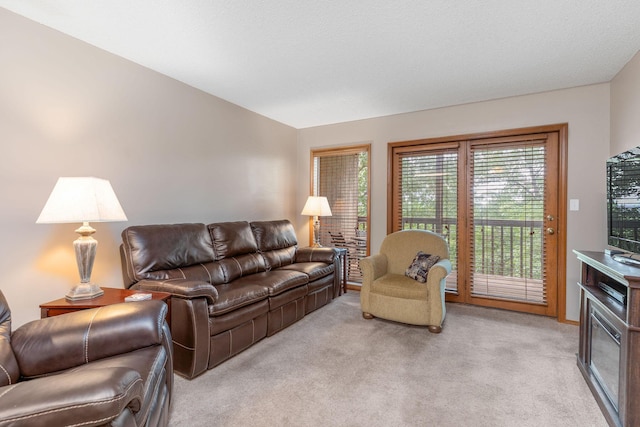 550 Notch Ln Unit 2, Reeds Spring, MO 65737 - living area featuring light colored carpet