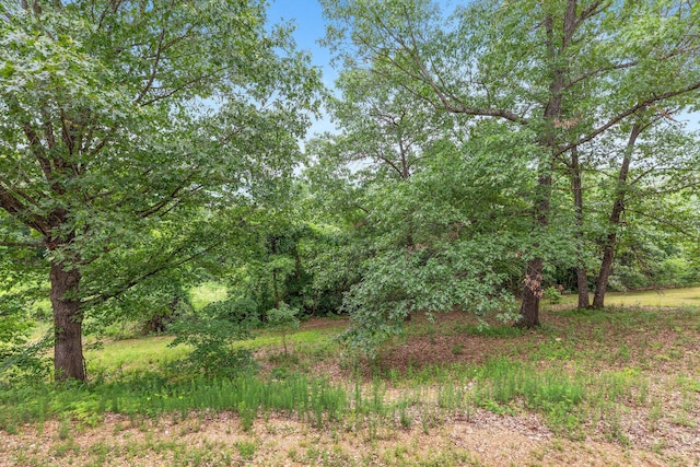 550 Notch Ln Unit 2, Reeds Spring, MO 65737 - view of woods