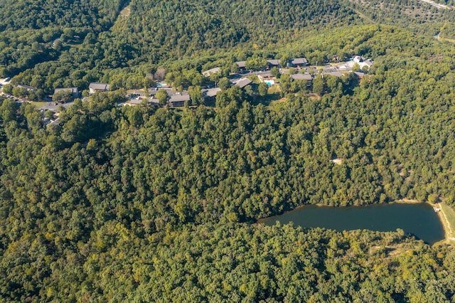 550 Notch Ln Unit 2, Reeds Spring, MO 65737 - aerial overview of property's location featuring a heavily wooded area and a large body of water