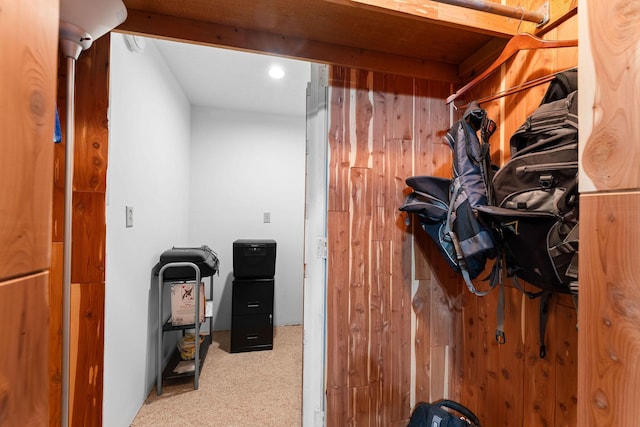 25158 Autumn View Dr, Shell Knob, MO 65747 - spacious closet featuring carpet flooring