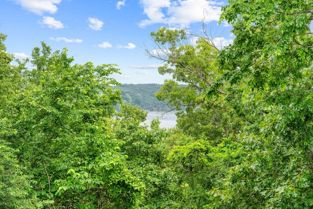 25158 Autumn View Dr, Shell Knob, MO 65747 - view of mountain backdrop with a forest