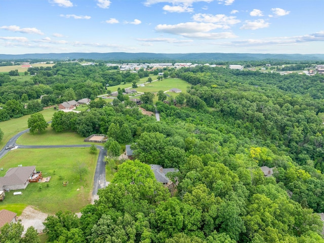 25158 Autumn View Dr, Shell Knob, MO 65747 - aerial view of a forest