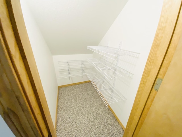 540 S Hickory Dr, Springfield, MO 65809 - walk in closet featuring carpet floors and vaulted ceiling
