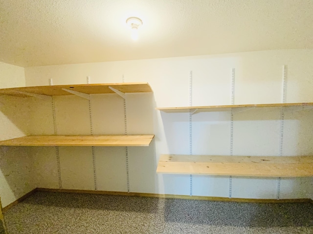 540 S Hickory Dr, Springfield, MO 65809 - view of storage area