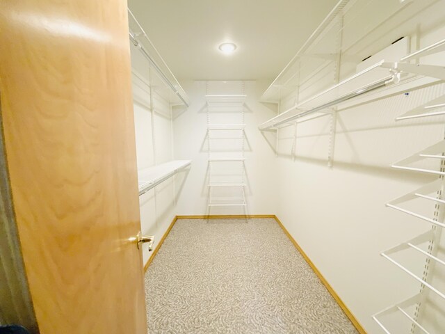 540 S Hickory Dr, Springfield, MO 65809 - spacious closet with carpet