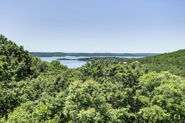 275 Split Rock Dr, Hollister, MO 65672 - photo 36