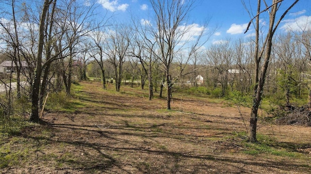 489 N Farm Road 89, Springfield, MO 65802 - photo 15