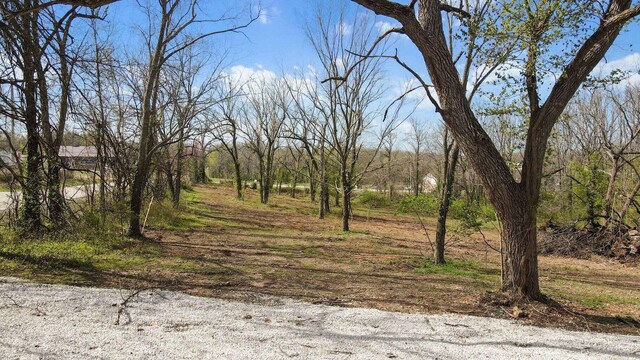 489 N Farm Road 89, Springfield, MO 65802 - photo 11
