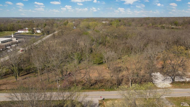 489 N Farm Road 89, Springfield, MO 65802 - photo 17