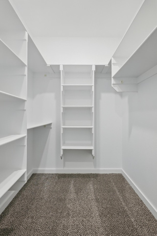 406 Barton Pl, Neosho, MO 64850 - walk in closet with carpet flooring