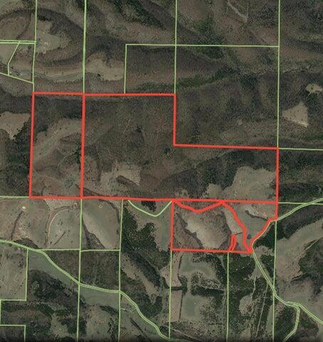 2313 Flat Creek Rd, Cape Fair, MO 65624 - photo 23