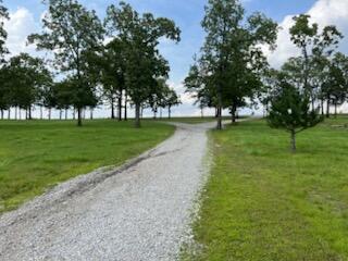 2631 State Hwy W, Pontiac, MO 65729 - photo 50