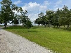 2631 State Hwy W, Pontiac, MO 65729 - photo 38