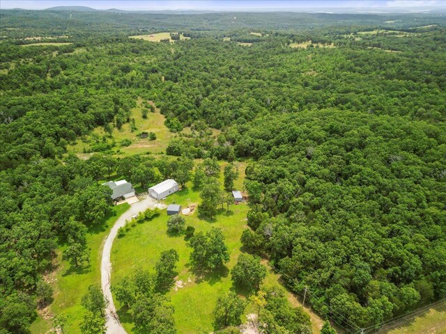 2631 State Hwy W, Pontiac, MO 65729 - photo 28