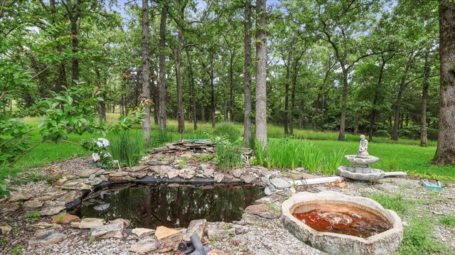 2631 State Hwy W, Pontiac, MO 65729 - photo 30
