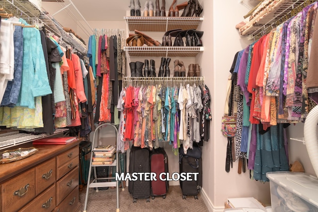 117 Hidden Shores Dr, Branson West, MO 65737 - spacious closet with carpet floors