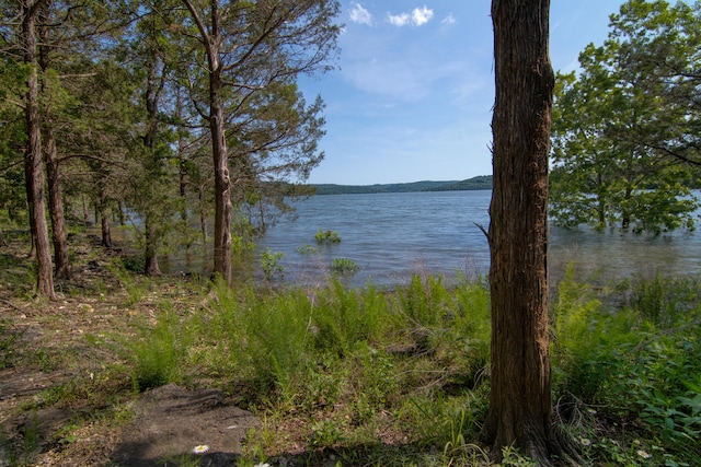 117 Hidden Shores Dr, Branson West, MO 65737 - water view