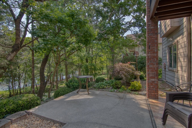 117 Hidden Shores Dr, Branson West, MO 65737 - view of patio / terrace