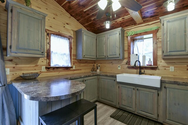 145 Allison Bnd, Lampe, MO 65681 - kitchen with wooden walls, a sink, wooden ceiling, vaulted ceiling, and healthy amount of natural light