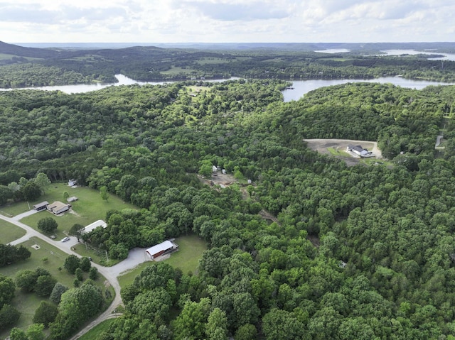 145 Allison Bnd, Lampe, MO 65681 - view of property location with a forest and a nearby body of water