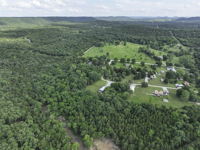 145 Allison Bnd, Lampe, MO 65681 - aerial overview of property's location with a forest