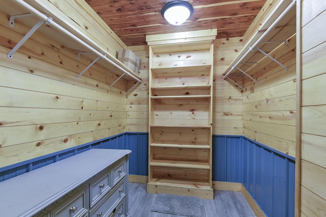 145 Allison Bnd, Lampe, MO 65681 - walk in closet featuring light wood-style flooring