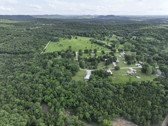 145 Allison Bnd, Lampe, MO 65681 - aerial view of property and surrounding area with a forest