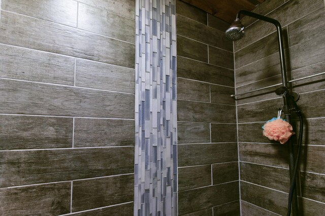 145 Allison Bnd, Lampe, MO 65681 - bathroom featuring a tile shower