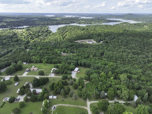 145 Allison Bnd, Lampe, MO 65681 - aerial overview of property's location featuring a forest and a large body of water