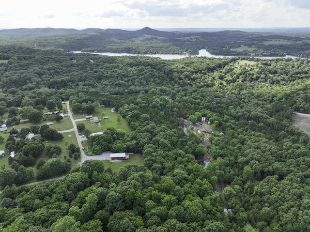 145 Allison Bnd, Lampe, MO 65681 - drone / aerial view of a nearby body of water and a forest