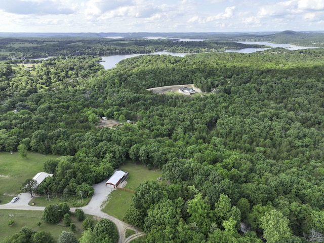 145 Allison Bnd, Lampe, MO 65681 - view of property location featuring a forest and a large body of water